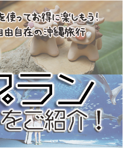 ナビ付レンタカー付だから自由自在に楽しめる!