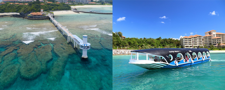 �I���W�i���O���X�̌�