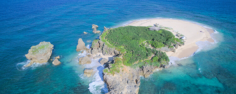 �R�}�J���œ��A��C����