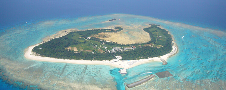 ���[���œ��A��C����