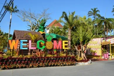 ASMUI Spiritual Hikes